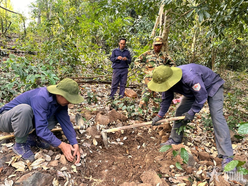 Đội K51 tích cực tìm kiếm, quy tập hài cốt liệt sĩ trên địa bàn tỉnh Mondulkiri (Vương quốc Campuchia). Ảnh: AN KHANG