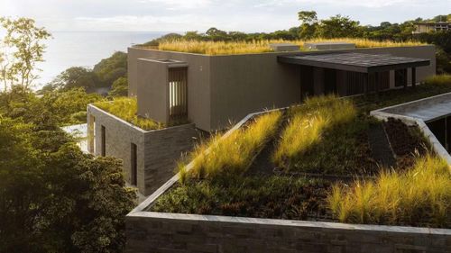 Quan sát từ trên cao, Casa Continuum gần như hòa tan vào màu xanh của khu rừng nhờ hệ mái phủ thực vật liên tục. Lớp mái xanh không chỉ tạo sự kết nối thị giác với cảnh quan xung quanh mà còn đóng vai trò như một giải pháp sinh thái quan trọng.