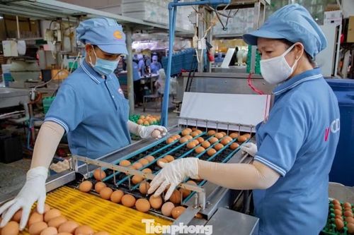 Để tiếp cận vốn ngân hàng, DN vẫn cần có tài sản thế chấp.
