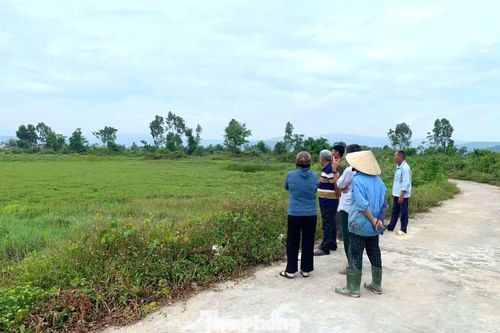 Từng là những cánh đồng hai vụ lúa, khu vực này đã bị bỏ hoang suốt nhiều năm.