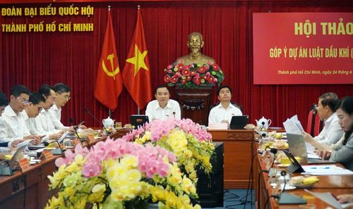 Đại biểu Quốc hội Lê Ngọc Sơn - Chủ tịch HĐTV Petrovietnam phát biểu tại Hội thảo góp ý dự án Luật Dầu khí (sửa đổi) do Đoàn Đại biểu Quốc hội TP HCM phối hợp với Petrovietnam tổ chức, ngày 24/6 tại TP HCM