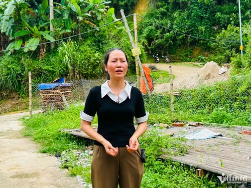 Chị Nông Thùy Liễu ở xóm Tân Cương: "Từ khi có Internet, việc tiếp cận thông tin dễ dàng hơn rất nhiều".