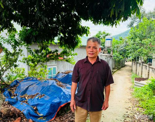 Ông Lăng Văn Trọng, Bí thư Chi bộ kiêm Trưởng xóm Tân Cương khẳng định sự thay đổi rõ rệt trong việc tiếp cận thông tin của bà con địa phương.
