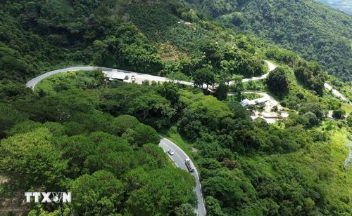 Đèo Ngoạn Mục dài khoảng 18km, uốn lượn qua các sườn núi, giữ vai trò cửa ngõ kết nối cao nguyên Lâm Đồng với vùng duyên hải Nam Trung Bộ. (Ảnh: Nguyễn Huy Thành/TTXVN)
