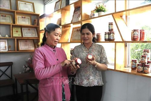Sản phẩm mật ong OCOP 3 sao là lựa chọn làm quà tặng của du khách nước ngoài khi đến tham quan Cù lao Thới Sơn, tỉnh Đồng Tháp.