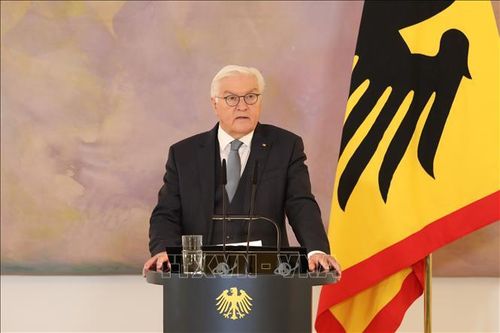Tổng thống Đức Frank-Walter Steinmeier phát biểu tại thủ đô Berlin. Ảnh: THX/TTXVN