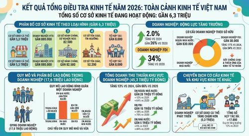 Kết quả sơ bộ tổng điều tra kinh tế 2026. Ảnh: LƯU THỦY - AI tạo