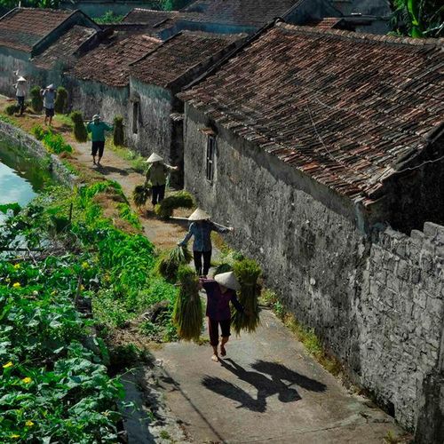 Ảnh: báo Ninh Bình