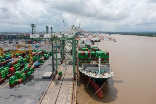 Cảng VIP Green Port của Viconship. Ảnh: DN.