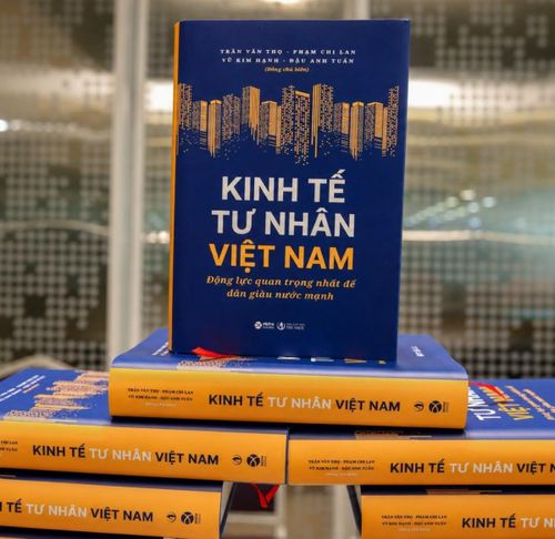 Cuốn sách "Kinh tế tư nhân Việt Nam: Động lực quan trọng nhất để dân giàu nước mạnh". Ảnh: Alpha Books. 