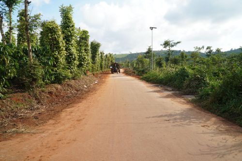 Nhiều tuyến đường giao thông được bê tông hóa, đáp ứng nhu cầu đi lại, vận chuyển của người dân