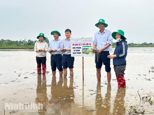 Các thành viên tham gia mô hình trình diễn thí điểm xử lý gốc rơm, rạ bằng sản phẩm Bio 79WP tại phường Hồng Quang (vụ Mùa 2026).