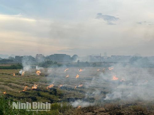 Hoạt động đốt rơm rạ sau vụ gặt tại nhiều địa phương vừa gây lãng phí tài nguyên, vừa tạo ra lượng khói bụi lớn làm ô nhiễm môi trường và cản trở giao thông.