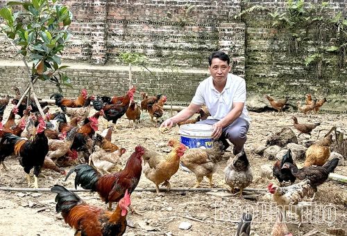 Đồng bào dân tộc Mường xã Xuân Đài được hỗ trợ phát triển chăn nuôi thông qua các mô hình giảm nghèo bền vững.