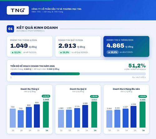 Kết quả sản xuất kinh doanh của Công ty CP Đầu tư và Thương mại TNG.