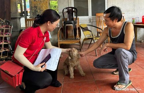 Khảo sát các tác động chính của thiên tai, thảm họa đến động vật và nhu cầu của động vật tại điểm sơ tán. Ảnh: Hội Chữ thập đỏ thành phố cung cấp