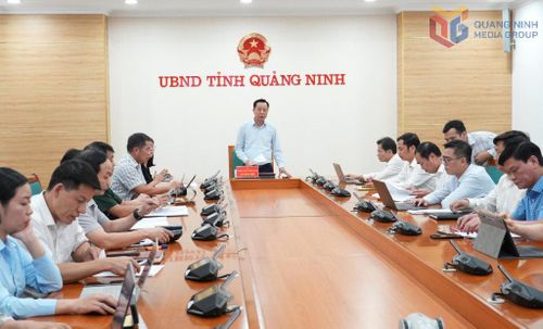 Phó Chủ tịch UBND tỉnh Quảng Ninh Lê Văn Ánh phát biểu kết luận cuộc họp triển khai các nghị quyết được thông qua tại Kỳ họp thứ 6, HĐND tỉnh khóa XV. Ảnh: Q.M.G