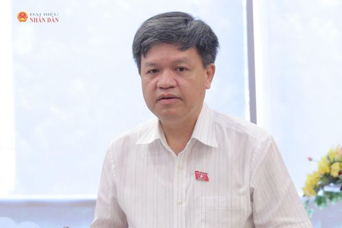 Phó Chủ nhiệm Ủy ban Khoa học, Công nghệ và Môi trường Tạ Đình Thi phát biểu