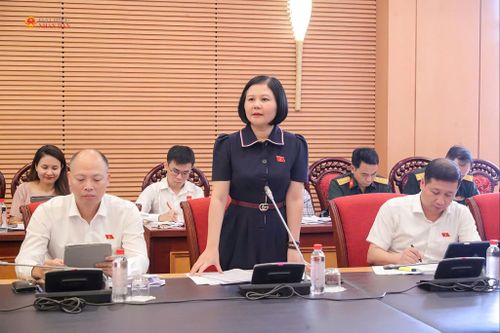 ĐBQH hoạt động chuyên trách tại Ủy ban Quốc phòng, An ninh và Đối ngoại Trần Thị Hồng An phát biểu