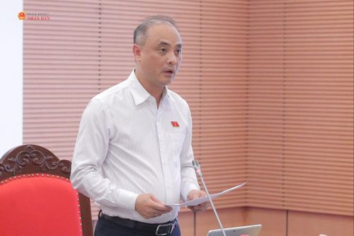 Phó Chủ nhiệm Ủy ban Khoa học, Công nghệ và Môi trường Nguyễn Phương Tuấn trình bày dự thảo báo cáo thẩm tra sơ bộ dự án Luật