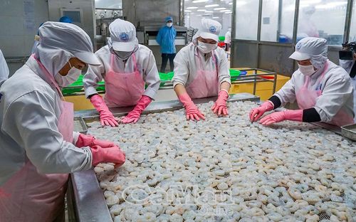 Tỉnh Cà Mau phấn đấu 6 tháng cuối năm kim ngạch xuất khẩu đạt gần 1,5 tỷ USD.