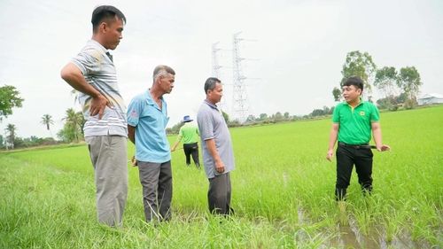  Cán bộ kỹ thuật Công ty Cổ phần Phân bón Bình Điền trao đổi với nông dân về hiệu quả mô hình "Hành trình Xanh - Đất khỏe, cây trồng khỏe", góp phần thay đổi tư duy canh tác theo hướng bền vững. 
