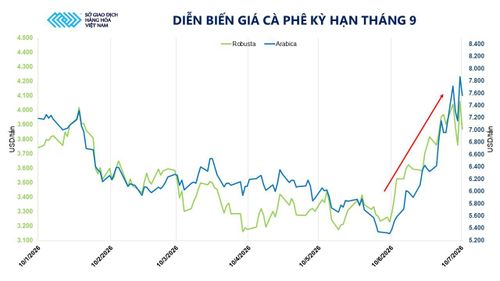 Diễn biến giá cà phê kỳ hạn tháng 9. Nguồn: MXV