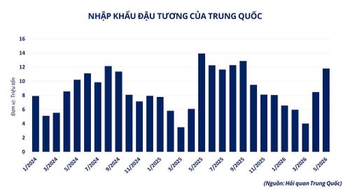 Nhu cầu nhập khẩu đậu tương của Trung Quốc. Nguồn: MXV