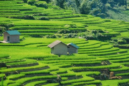 So với trước, đường đến Y Tý hiện thuận tiện hơn đáng kể. Đạt cho hay quãng đường từ Sa Pa đến Y Tý nay chỉ mất khoảng 3-4 tiếng, thay vì gần một ngày như trước đây. Nhiều tuyến đường kết nối khu vực này đang được đầu tư, nâng cấp, góp phần cải thiện khả năng tiếp cận và hỗ trợ phát triển du lịch địa phương.