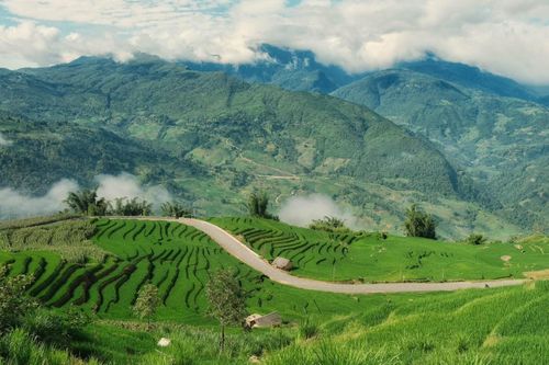 Y Tý cách trung tâm phường Lào Cai khoảng 70 km, ở độ cao hơn 2.000 m so với mực nước biển. Điểm đến này nổi tiếng với biển mây, khí hậu mát mẻ và bản sắc văn hóa của các cộng đồng dân tộc vùng cao. Ngoài ruộng bậc thang, Y Tý còn có hệ sinh thái đa dạng với nhiều loài thực vật đặc trưng như đỗ quyên, đào rừng, sơn tra, phong lá đỏ và các loài dược liệu.