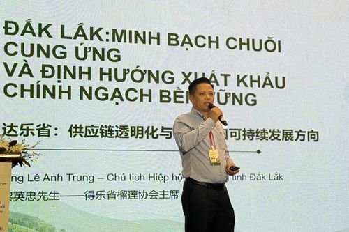 Ông Lê Anh Trung, Chủ tịch Hiệp hội Sầu riêng tỉnh Đắk Lắk. Ảnh: Anh Nguyễn.
