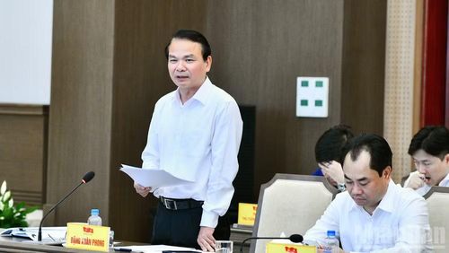  Bộ trưởng, Chủ nhiệm Văn phòng Chính phủ Đặng Xuân Phong phát biểu ý kiến tại cuộc làm việc. (Ảnh: THANH GIANG) 