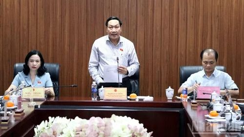Phó trưởng đoàn chuyên trách Đoàn đại biểu Quốc hội thành phố Đồng Nai Bùi Xuân Thống phát biểu tại buổi làm việc.