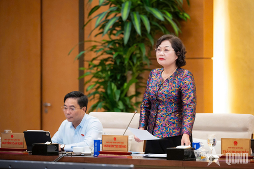 Phó chủ tịch Quốc hội Nguyễn Thị Hồng phát biểu kết luận nội dung họp. 
