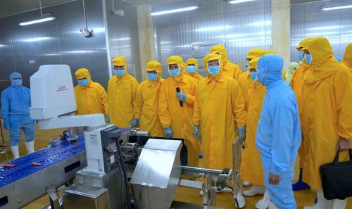 Phó Thủ tướng Hồ Quốc Dũng cùng đoàn công tác khảo sát thực tế tại xưởng sản xuất, chế biến tôm xuất khẩu của Tập đoàn Thủy sản Minh Phú.