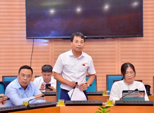 Đại biểu Lê Minh Đức, Bí thư Đảng ủy, Chủ tịch HĐND xã Thạch Thất phát biểu. Ảnh: Viết Thành