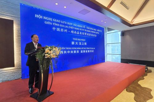Bí thư Tỉnh ủy Gia Lai Thái Đại Ngọc phát biểu tại Hội nghị giao lưu hợp tác kinh tế - thương mại - đầu tư giữa tỉnh Gia Lai và TP Tô Châu (Trung Quốc). Ảnh: P.Anh