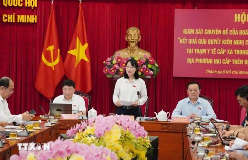 Bà Trần Thị Diệu Thúy, Phó Trưởng Đoàn Đoàn đại biểu Quốc hội chuyên trách Thành phố Hồ Chí Minh, phát biểu tại buổi giám sát. (Ảnh: Đinh Hằng/TTXVN)