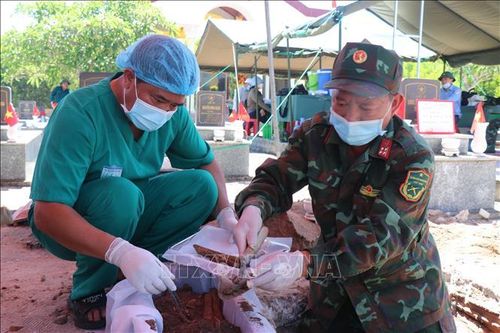 Các mẫu sinh phẩm được lấy từ phần mộ liệt sĩ nghĩa trang Phổ An, Phường Trà Câu, tỉnh Quảng Ngãi.