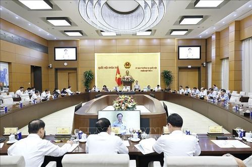 Quang cảnh phiên họp. Ảnh: Doãn Tấn/TTXVN