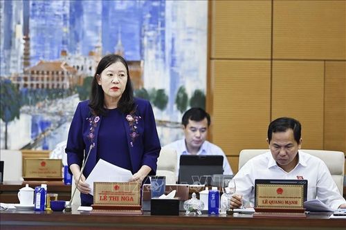 Chủ nhiệm Ủy ban Dân nguyện và Giám sát của Quốc hội Lê Thị Nga phát biểu. Ảnh: Doãn Tấn/TTXVN