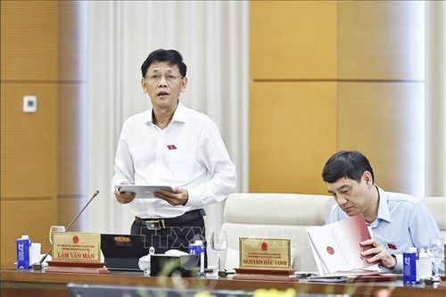 Chủ tịch Hội đồng Dân tộc của Quốc hội Lâm Văn Mẫn phát biểu. Ảnh: Doãn Tấn/TTXVN