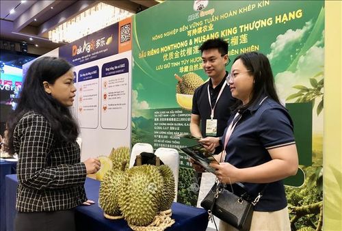 Doanh nghiệp kết nối giao thương tại sự kiện.