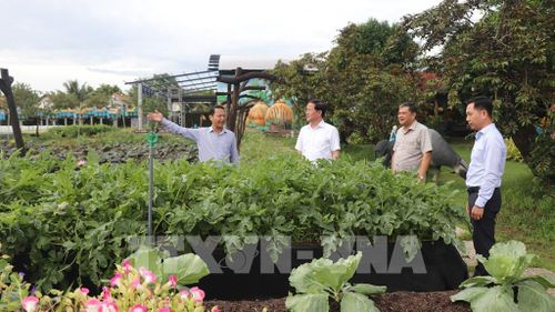 Đoàn công tác tham quan tại khu vực sinh thái miệt vườn Eco Farm. Ảnh: Nguyễn Hằng - TTXVN