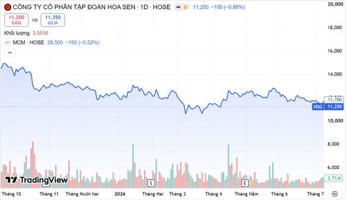  Diễn biến giá cổ phiếu đầu quý III niên độ tài chính 2025–2026 đến nay. Nguồn Trading View 