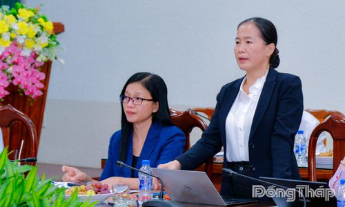 Đồng chí Nguyễn Thị Hiền, Phó Trưởng ban Thường trực Ban Tổ chức Tỉnh ủy, phát biểu tại hội nghị.