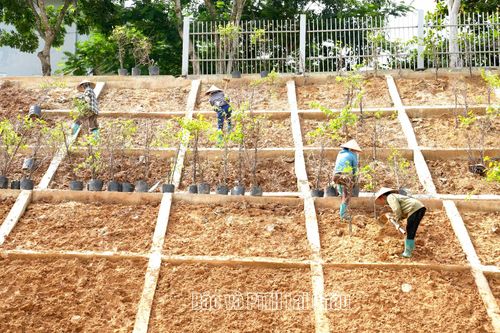 Công ty TNHH Thương mại & Xây dựng số 6 đang khẩn trương hoàn thiện các phần việc.