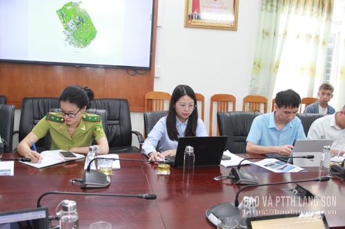 Đại biểu tham gia cuộc họp