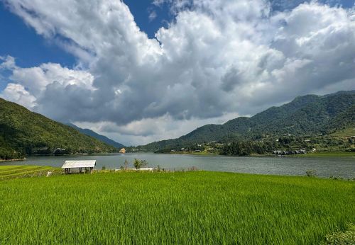 Việc trả lại không gian mặt nước thông thoáng đã tạo điều kiện để cảnh quan thiên nhiên được khôi phục, mang đến diện mạo sạch đẹp cho hồ Séo Mý Tỷ.