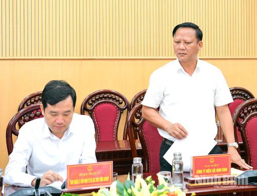 Đại diện Công ty Điện lực Ninh Bình phát biểu tại hội nghị.